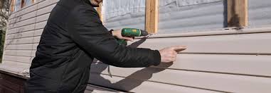 Best Vinyl Siding Installation  in Little Elm, TX